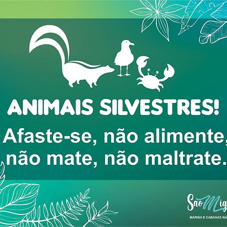 Cabanas Sao Miguel 佩尼亚 外观 照片