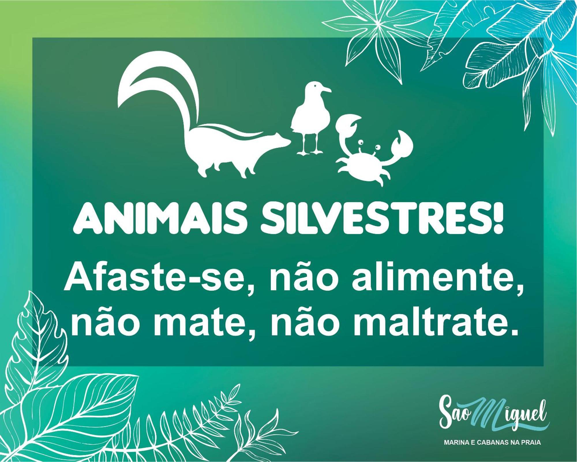 Cabanas Sao Miguel 佩尼亚 外观 照片